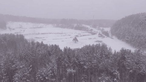 Drone Flight Over Snowy Forest Clearing