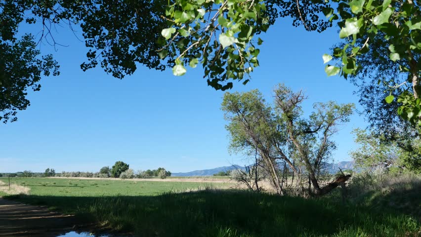 Prairie Grassland and Flatirons Mountain View from Teller Farm South Trail in Boulder Colorado 4K