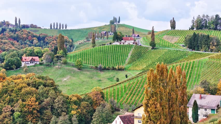 Aerial view of Sudsteiermark vineyards with autumn foliage, rolling hills, and traditional houses under a cloudy sky Gamlitz, Styria, Austria.