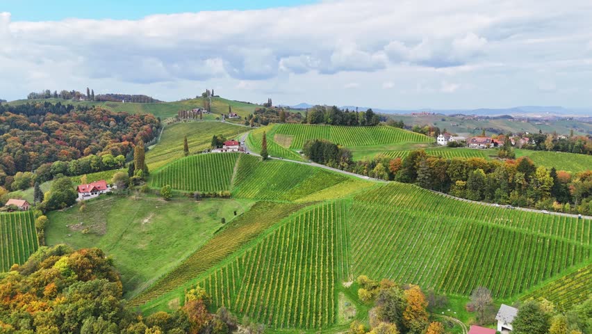 Aerial view of the rolling vineyards of Sudsteiermark with autumn forests and scattered houses on green hills in Gamlitz, Styria, Austria.