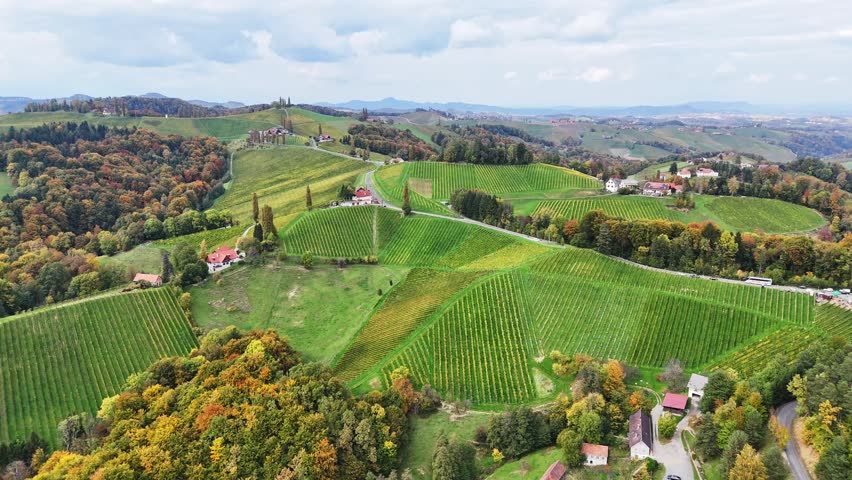 Aerial view of Sudsteiermark vineyards on rolling hills with autumn foliage and rural houses in Gamlitz, Styria, Austria.