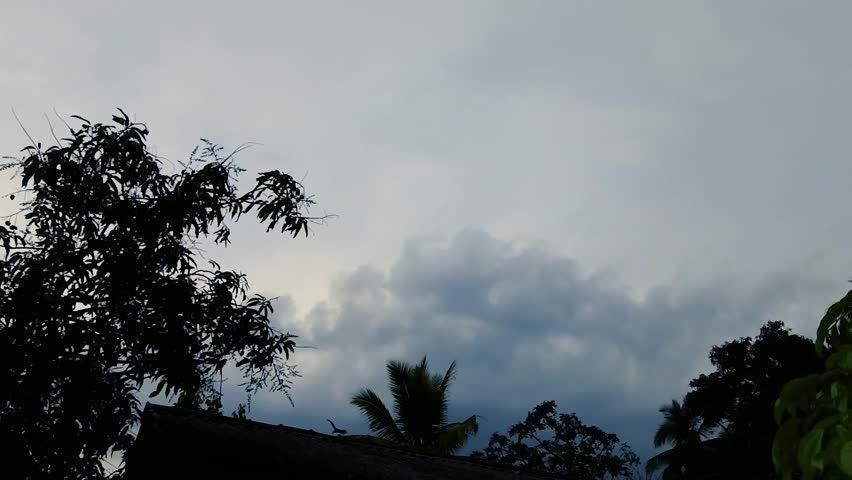 Dramatic cloudy sky over dark tree silhouettes at dusk or early morning, evoking a moody atmosphere