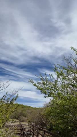 Scenic View of Mount Hallasan from 1100 Altitude Wetland Trail in Jeju Island, Vertical Nature Background