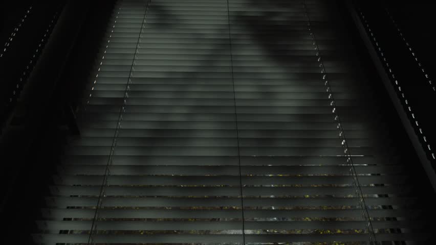Blinds opening to reveal bright sun through green trees.