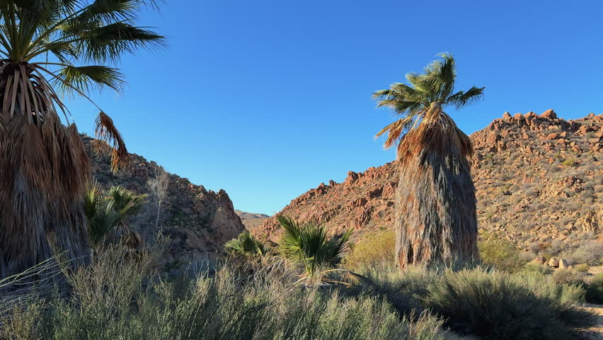 Rugged natural terrain in Joshua Tree California landscape