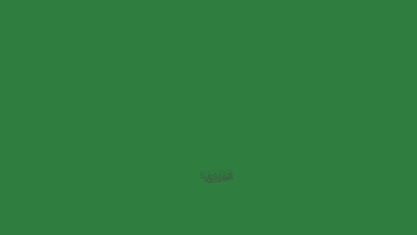 Animated Gold Frog with Leaf Green Screen Chroma Key Motion Graphic