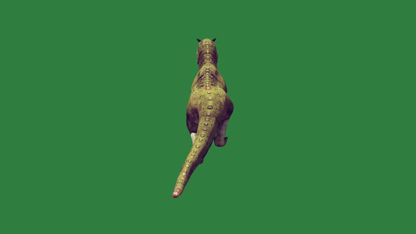 Animated Flying Bird with Air Back Through Lizard Green Screen Chroma Key Motion Graphic