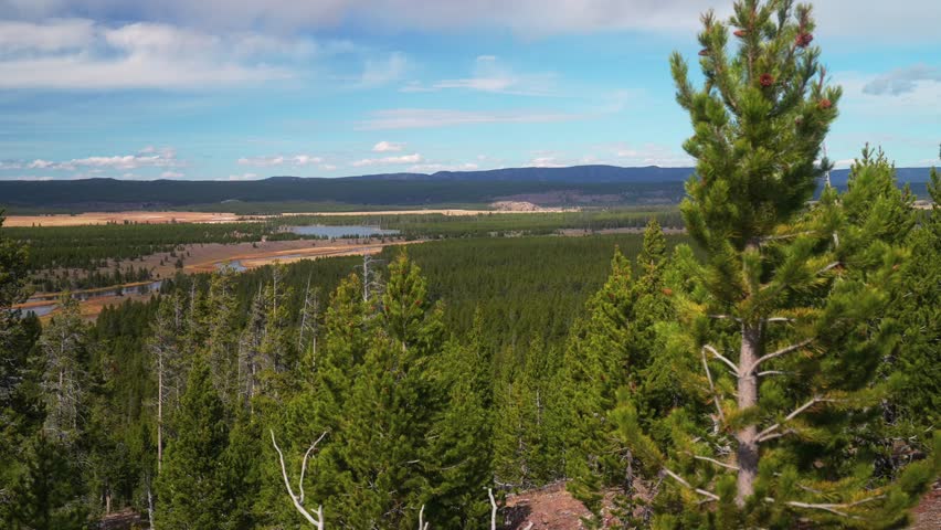 Elevated overlook trail Grand Prismatic Springs lookout Firehole River hot springs steaming pool Mid Geyser Basin Wyoming Yellowstone National Park tourist attraction nature landscape morning pan left