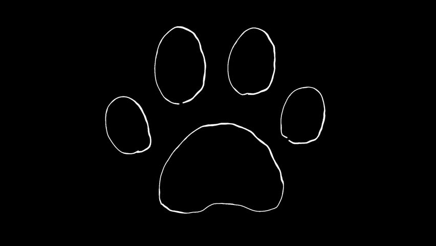Paw print doodle line art illustration. Hand-drawn icon video with moving lines. Looping 4K animation. Decorative stamp of a drawing drawn freehand with a white pen on a black background.