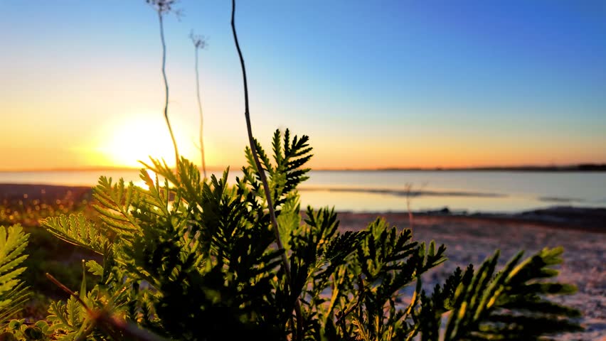 Sunrise near the beach in Denmark