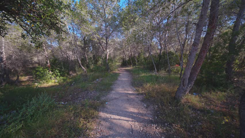 A horizontal point-of-view shot moving smoothly forward along a dirt hiking trail surrounded by green bushes and pine trees in Benidorm.