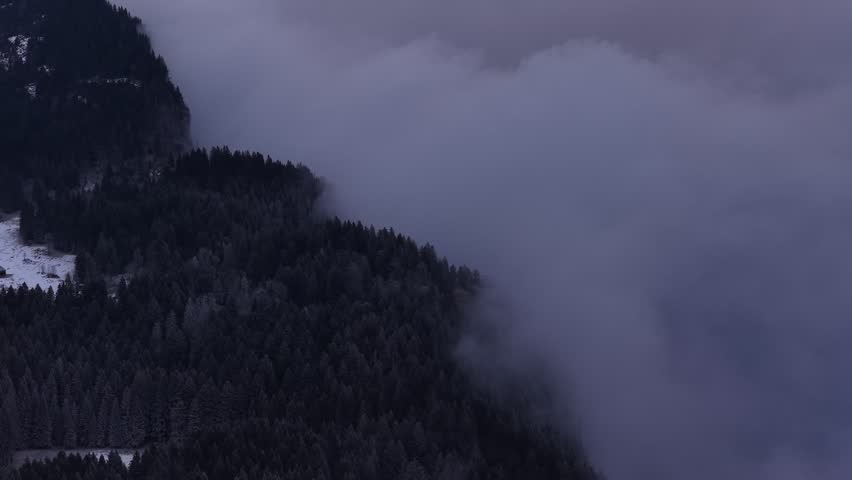 Foggy mountain landscape with dense forest coverage, mysterious grey nature