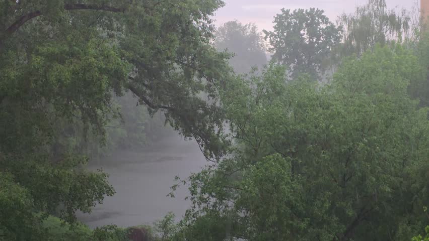 Rain against the background of developing trees in the park. The falling drops are depicted by straight line segments.