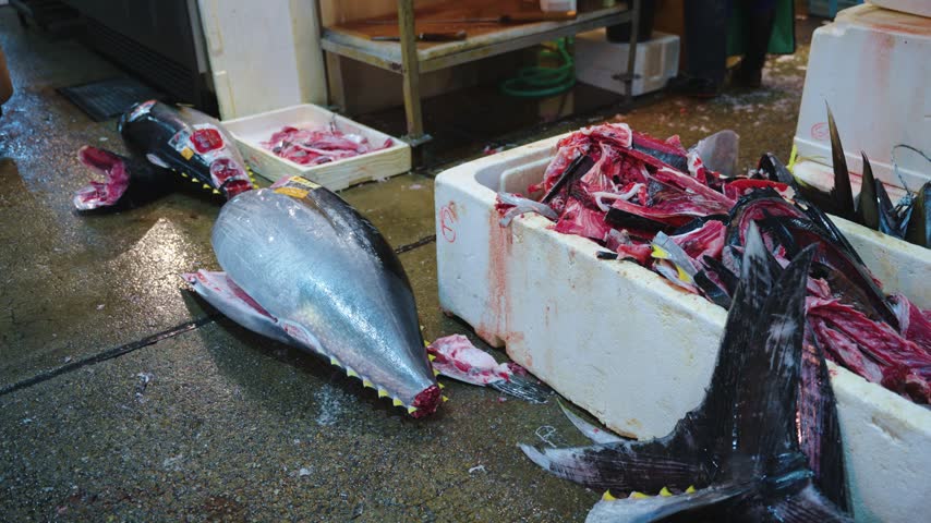 Pacific Bluefin Tuna, Heads and Tails Cut up in Fish Market Tuna Auctions, Japan