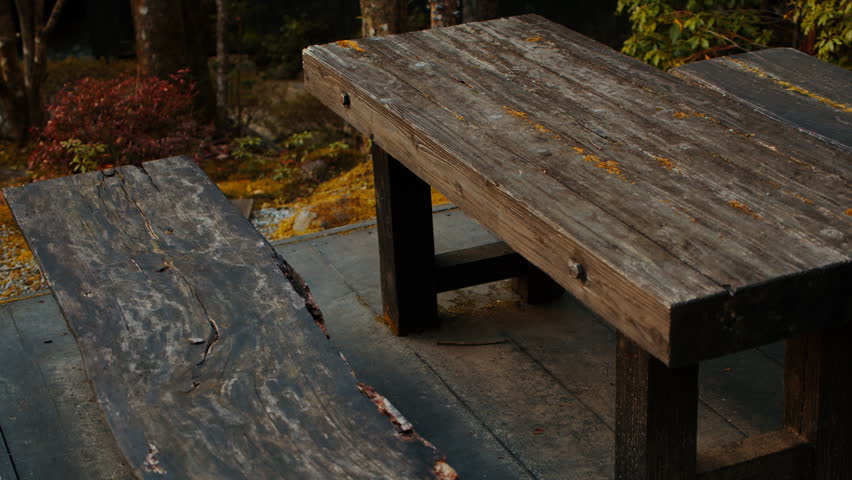 Old wooden bench in the park