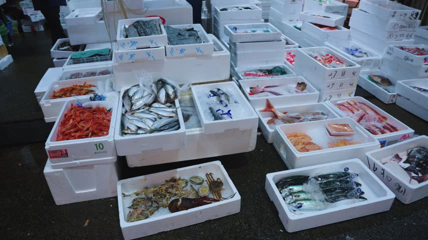 Fish Market in Early Hours, Variety of Mornings Catch in Osaka Japan