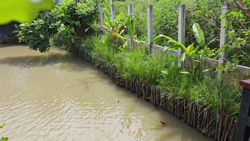 The pond next to the fence in the garden.