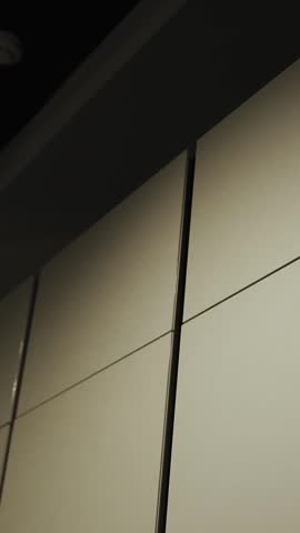 Vertical video. Facade of closed wooden wardrobe with minimalist wall panels and modern interior design. Close-up wood texture and furniture details in natural light.