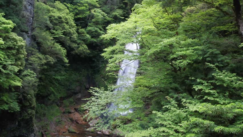 Aerial View of a Scenic Waterfall Surrounded by Fresh Green Forest in Early Morning