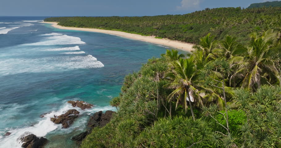 Tropical island landscape. Aerial view turquoise ocean waves breaking on a pristine white sand beach, bordered by lush green palm trees and dense coastal vegetation under blue sky. Travel, vacation