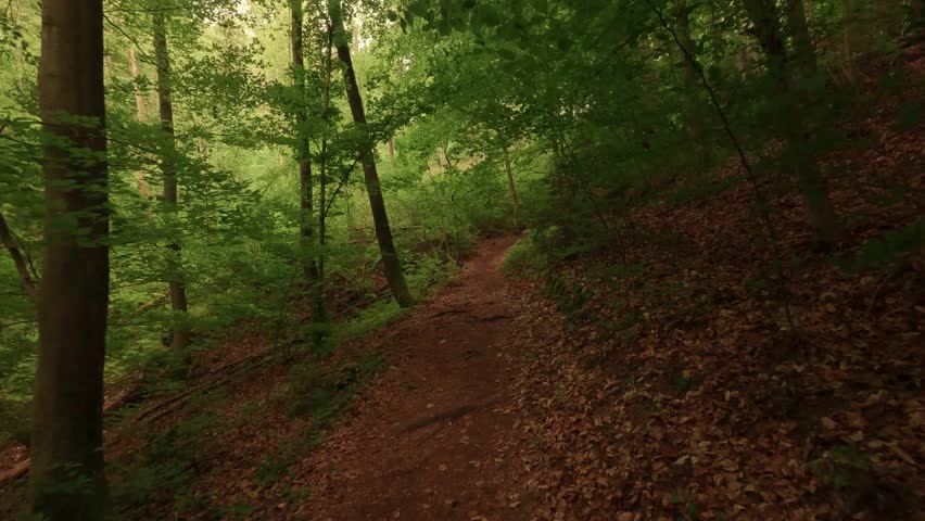 Hiking through a gorge featuring waterfalls, winding through a forest of deciduous trees, with a forest floor of soil and rocks.