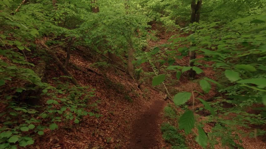 Hiking through a gorge featuring waterfalls, winding through a forest of deciduous trees, with a forest floor of soil and rocks.