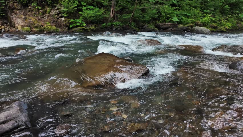 Clear Mountain River Flowing Over Rocks in Forest. Wild Nature Water Stream.