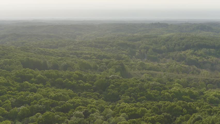 Drone shot aerial moving above south southern Ohio near Ray, OH and Hocking Hills with green tree canopy, sweeping hill hills, and natural midwest woods, rural tree country, and forested landscape 4k