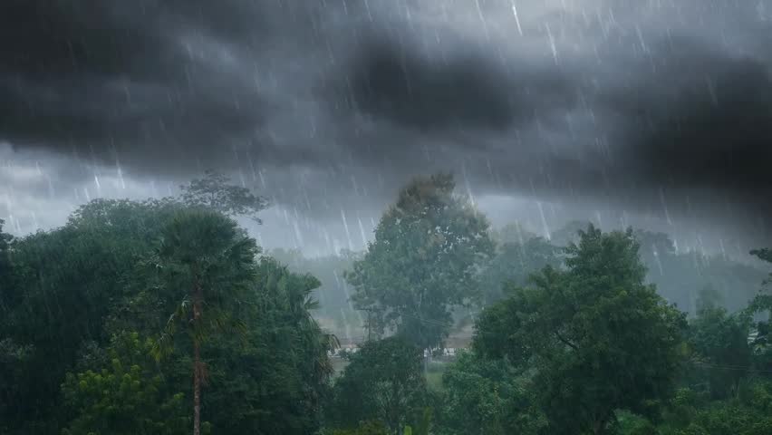 Stormy sky with dark clouds over trees