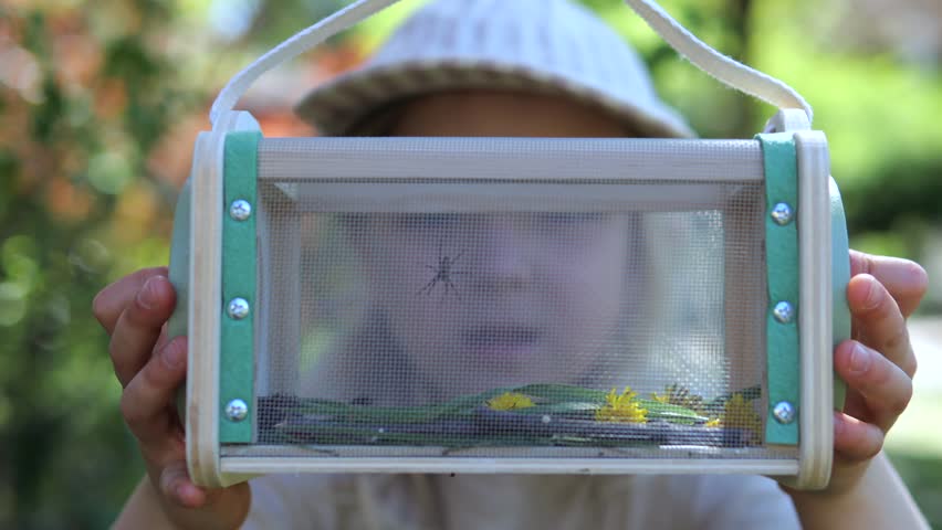 Young inquisitive child wearing a summer hat and holding a wooden bug viewer, carefully watching a small spider and other insects crawling inside among leaves and flowers in a sunny garden
