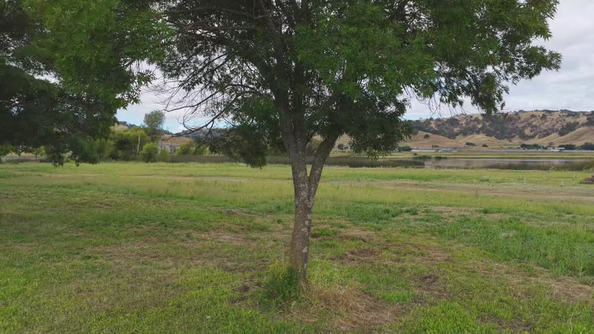 A little bit of the Vertigo Effect, Dolly Zoom at Lagoon Valley Park in Vacaville, California.
