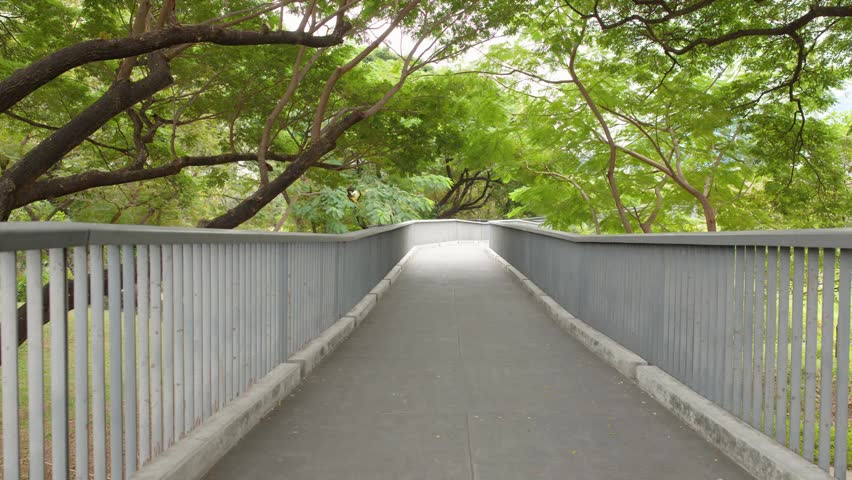 Camera moves forward along a modern elevated walkway surrounded by dense green tropical trees