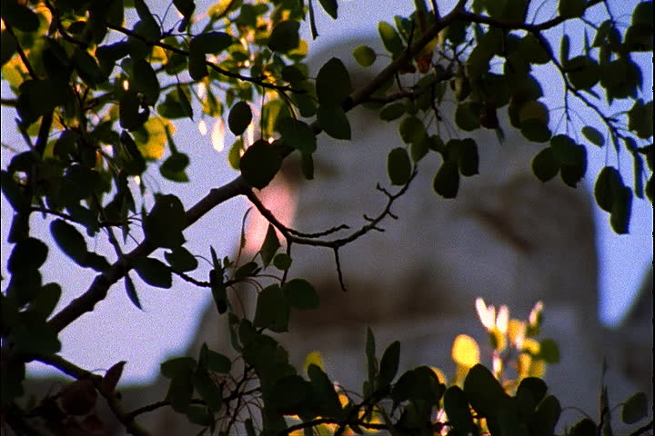 Rack focus through leafy tree branches to George Washington in the Mount Rushmore National Memorial in Keystone, South Dakota.