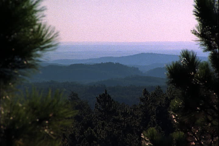 Scenic view of misty Black Hills framed by pine branches in Keystone, South Dakota.