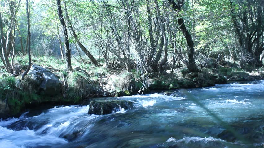 Fast flowing water of Lousios river in Arcadia, Greece, rushing through a green forest.