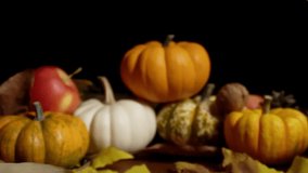 Wintertime harvest decoration ideas. Small pumpkins and apples create cozy ambiance. An arrangement of tiny pumpkins with apple captures festive autumn market atmosphere and decor inspiration - Powered by Shutterstock - Get 15% off with code: PIKWIZARD15