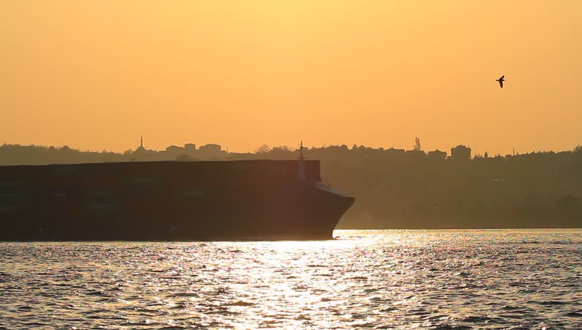 Large cargo ship sailing past the city in Istanbul, Turkey. Container ship