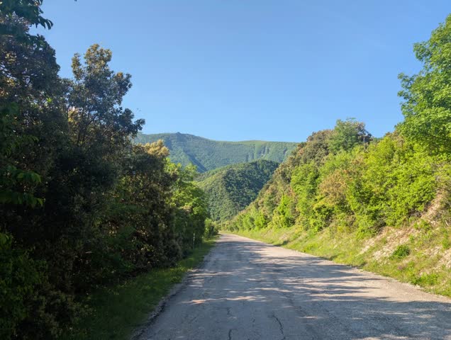 A paved mountain road surrounded by green vegetation and wooded mountains under a clear sky. A peaceful, bright atmosphere immersed in nature.