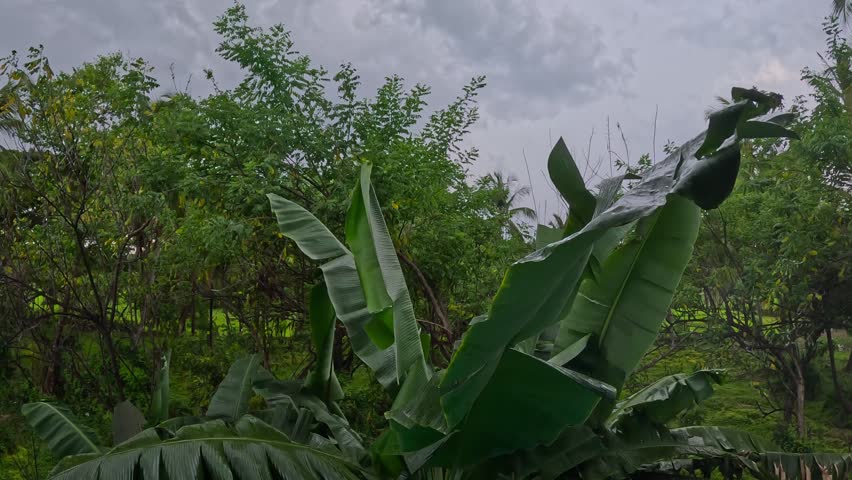 Rain entry of monsoon in 2026