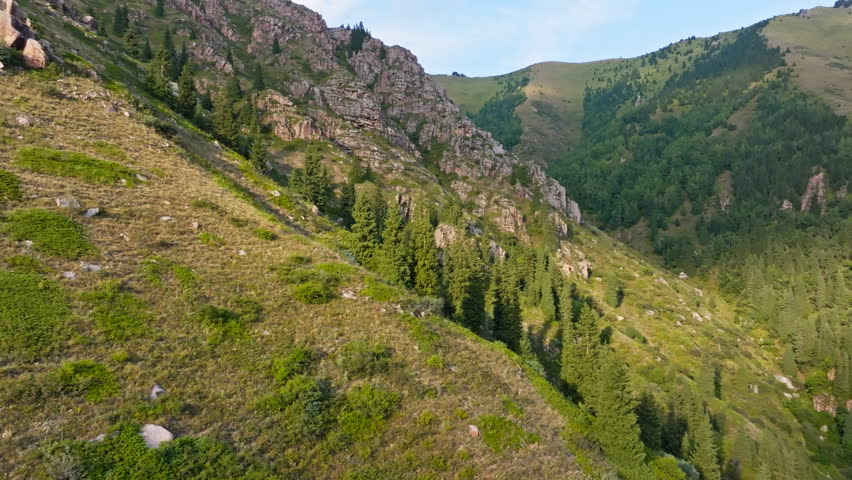 Mountainous landscape of rocky terrain and evergreen trees. Peaceful daytime scene with grassy slopes and scattered boulders. Drone view with truck to the right camera movement.