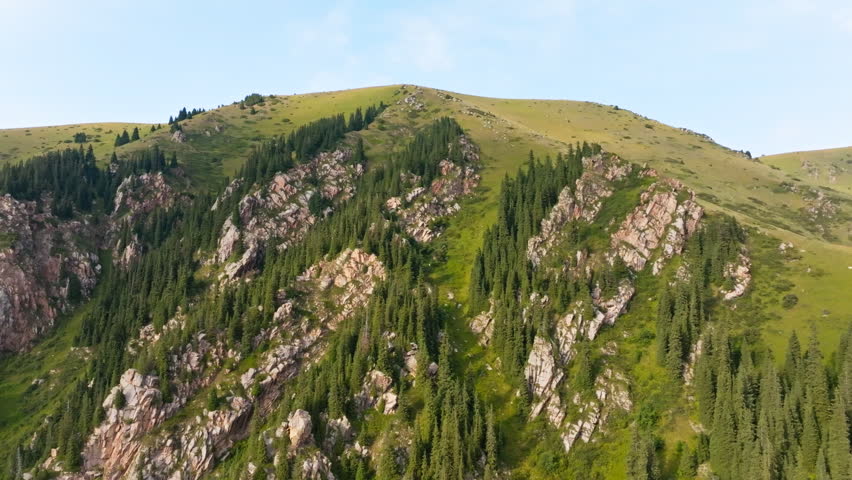 Serene mountain landscape showcases coniferous trees and rocky terrain. Drone view, truck to the left camera movement.
