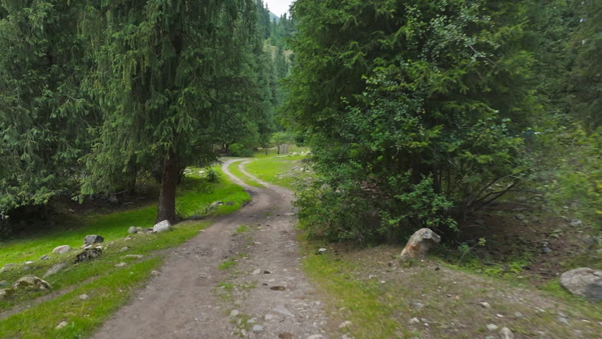 Dirt path meanders through peaceful forest, surrounded by lush trees and green grass, dolly forward camera movement