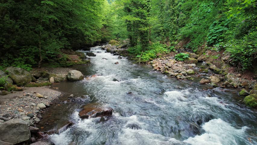 Fast Mountain River Flowing Through Dense Green Forest. Scenic Wilderness Landscape.