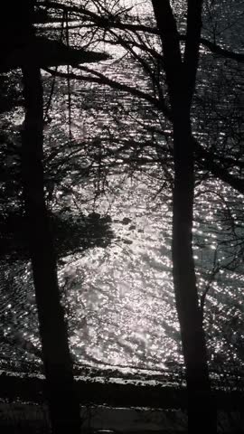 The sun is shining on the water near the river bank