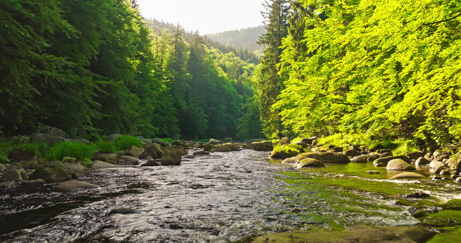 Gentle cinematic flyover above a rocky mountain river during spring sunrise. Peaceful flowing water surrounded by green forest landscape with natural morning light.