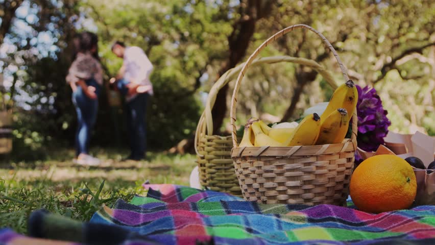 Man and Woman Sharing Conversation During Picnic Outdoors