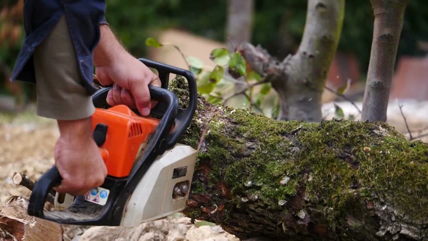 Landscaper using chainsaw to slice the trunk of a tree that fell during a storm Lumberjack chopping tree. Woodcutter saws tree chainsaw on sawmill.