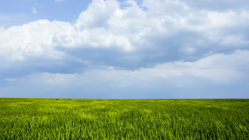 green summer rural field under a blue cloudy sky, village outdoor time lapse scene