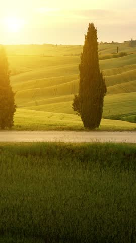 Flying over the amazing rolling hills of Tuscany Italy at sunset. Vertical video.