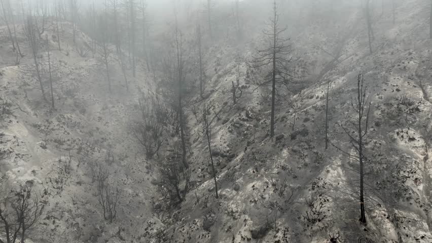 Aerial of a burnt mountainside from a recent wildfire. Near Los Angeles California.